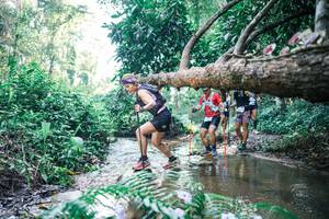 BIB: 
                            <button type="button" onclick="openModal(25441378)" class="btn btn-primary btn-sm float-right btn-popup" data-toggle="modal" data-target=".modal-high-quality">
                        <i class="fas fa-shopping-cart"></i> Add to Cart
                    </button>
                                            <button type="button" onclick="isThisMe(25441378, true)" class="btn btn-success btn-sm float-right btn-popup btn-isme hidden" data-toggle="tooltip" data-placement="bottom" title="นี่คือรูปของคุณใช่ไหม คลิกที่นี่เพื่อเอาเข้าอัลบั้ม">
                        <i class="fas fa-plus"></i> Add to album
                    </button>
                    <button type="button" onclick="isThisMe(25441378, false)" class="btn btn-warning btn-sm float-right btn-popup btn-isnotme hidden">
                        <i class="fas fa-ban"></i> Remove from album
                    </button>